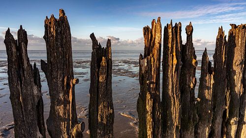Blick auf das Wattenmeer