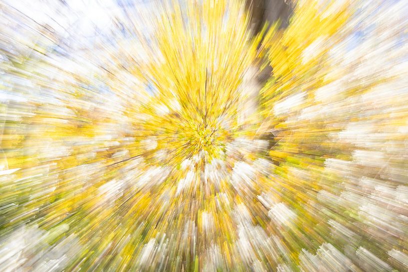 Frühling! von Joost Kuggeleijn