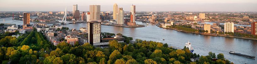Skyline von Rotterdam von Willem Vernes