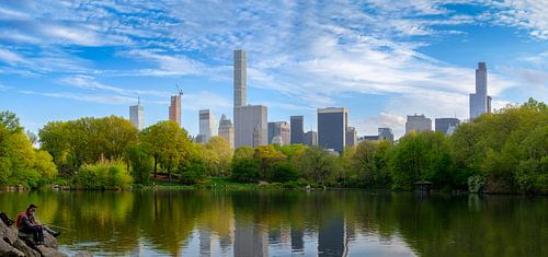 Central Park in New York in spring by Mark De Rooij