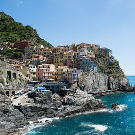 Manarola, Cinque Terre by Johan van Venrooy