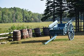 A farm in the village by Claude Laprise