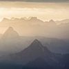 Wilde Wonderen in de Zwitserse Alpen van Claire Droppert