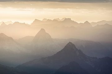 Merveilles sauvages dans les Alpes suisses sur Claire Droppert