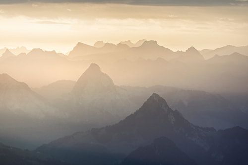 Wild Wonders in the Swiss Alps by Claire Droppert