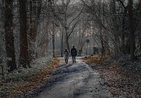 On the way to the forest