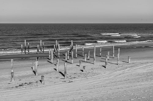 Palendorp bij Petten (NH).