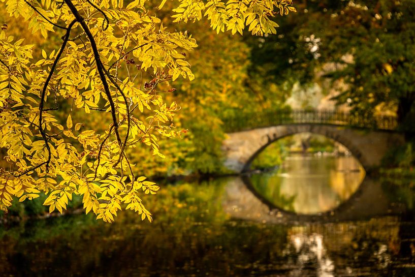 The branch by Steffen Henze