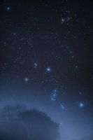Orion over het nevelwoud