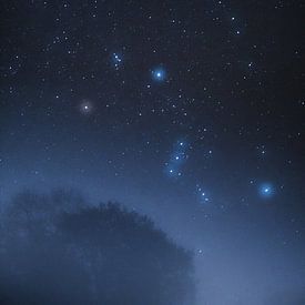 Orion über dem Nebelwald von Bastis Photos