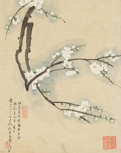 Flowers P. L., Liang Yuwei