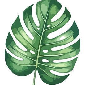Botanique silencieuse – Monstera en blanc sur AidasignArt