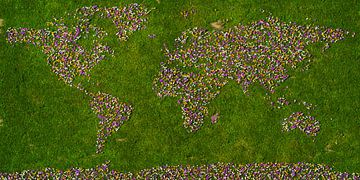 World map crocuses by Frans Blok - photos, art and other wall decoration