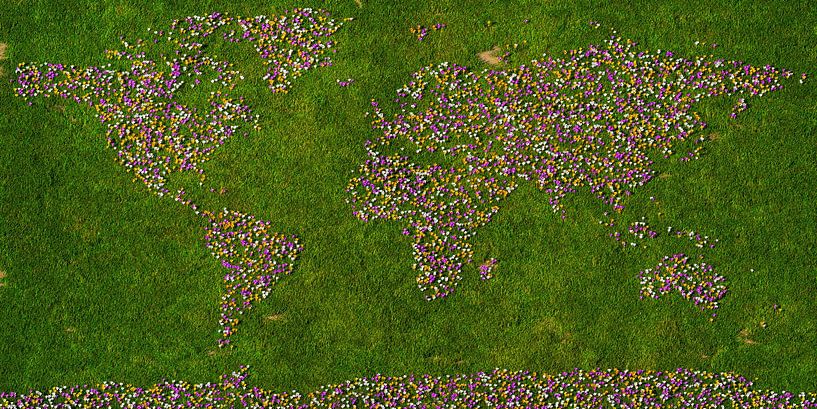 World map crocuses by Frans Blok - photos, art and other wall decoration