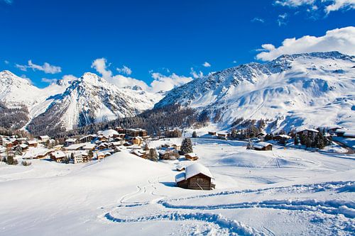 Fresh snow in Arosa, Grisons by Werner Dieterich