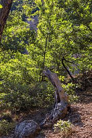 Serbia - Davolja Varos by Photoart-Naegele