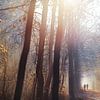 Promenade hivernale dans la forêt sur Maayke Klaver