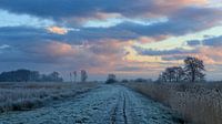 Winterse zonsopkomst van Willemke de Bruin thumbnail