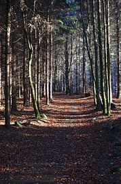 Nice way by Thomas Jäger