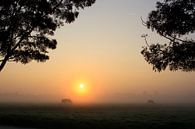 Mistige zonsopkomst van Stephan Neven thumbnail