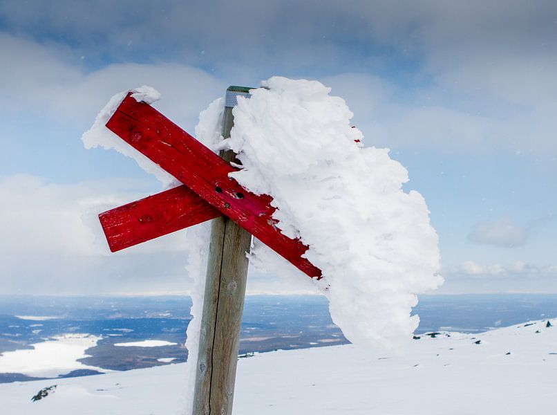 Frozen Andrea cross  by Hamperium Photography