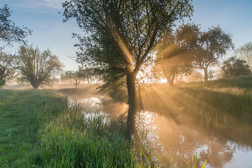 Gouden licht tijdens een magische ochtend op het Werk aan de Groeneweg 1
