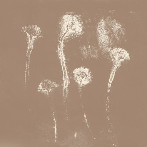 Kleine bloemen. Japandi botanische kunst in bruin en wit.