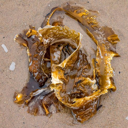 Kunst am Strand