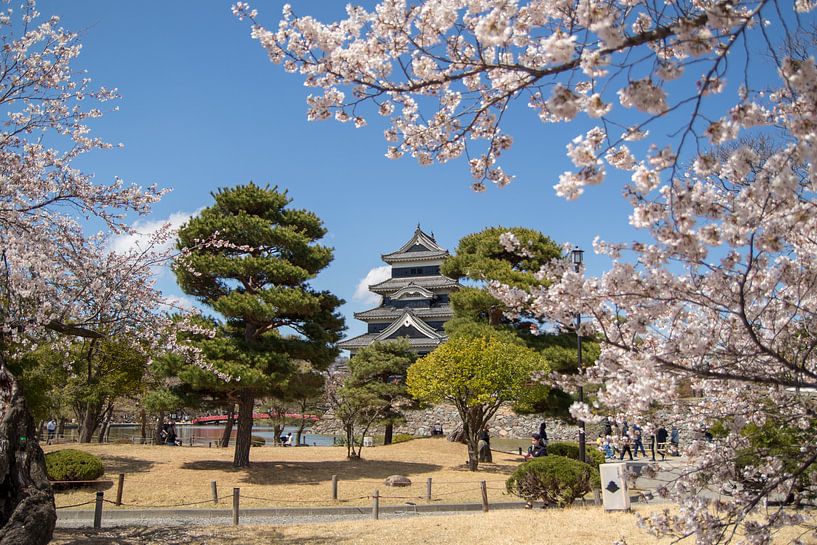 Matsumoto Castle by Marcel Alsemgeest
