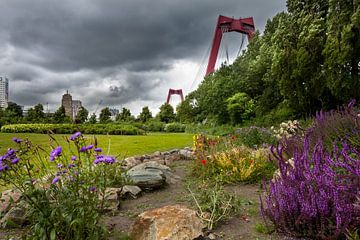 Hefpark van Prachtig Rotterdam