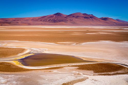 De zoutvlakte Salar de Quisquiro.