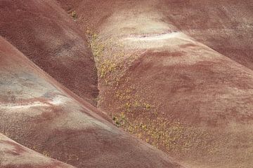 Painted Hills in the John Day Fossil Beds National Monument at Mitchell City, Wheeler County, Northe von Frank Fichtmüller