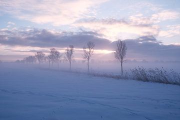 Snow vista in the polder by Erik Verreijt
