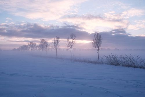 Schneelandschaft im Polder
