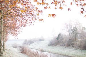 mist van voorDEfoto