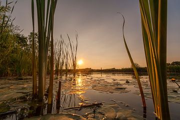 Zonsondergang op de Linge bij Gellicum in de Betuwe van Martien Janssen