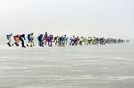 Schaatspeloton op de Oostvaardersplassen van Merijn van der Vliet thumbnail