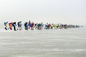 Skating pack on the Oostvaardersplassen by Merijn van der Vliet