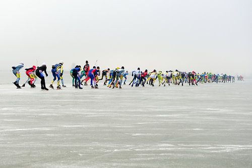Skating pack on the Oostvaardersplassen by Merijn van der Vliet