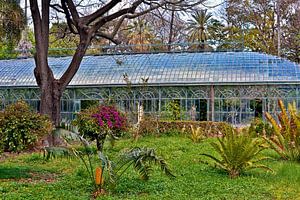 Botanischer Garten in Palermo