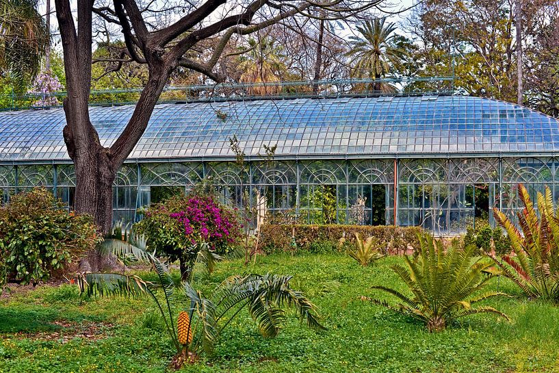 Botanische tuin in Palermo van Silva Wischeropp
