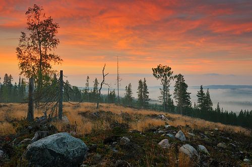 Fulufjället Nationaal Park