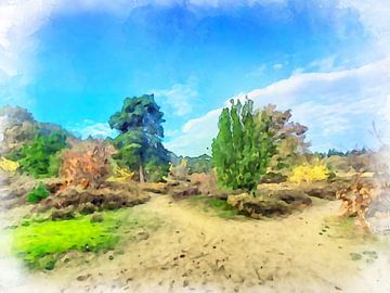 Nationalpark Drents-Friese Wold, Drenthe. von Danny de Klerk