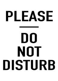 Please Do Not Disturb by Art Kingdom