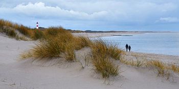 Winterwandeling aan de Noordzee