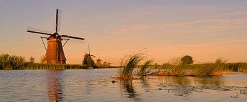 Kinderdijk molens bij avondlicht-panorama