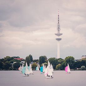 Hamburg Außenalster Segelboote Telemichel - Stadt Wasser Landschaft Schiffe von Der HanseArt