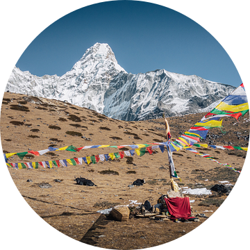 Berg Ama Dablam (6812m) en gebedsvlaggen in de Himalaya in Nepal van Thea.Photo