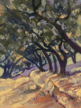 Olive grove on terrace