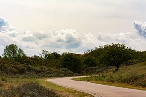 wandelpad van Tania Perneel